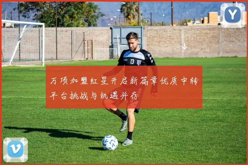 万项加盟红星开启新篇章优质中转平台挑战与机遇并存