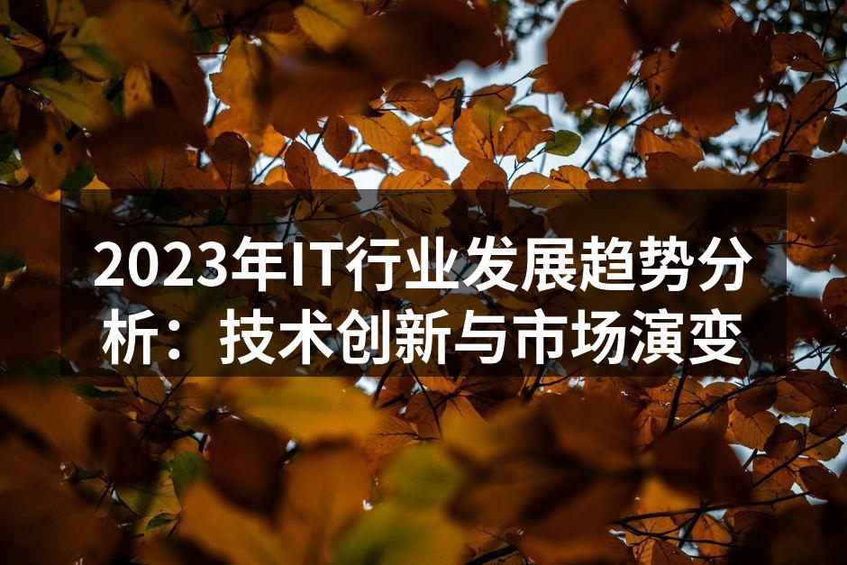 2023年IT行业发展趋势分析:技术创新与市场演变